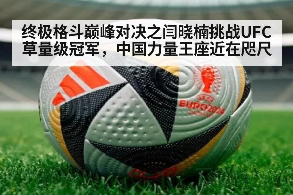 终极格斗巅峰对决之闫晓楠挑战UFC草量级冠军,中国力量王座近在咫尺
